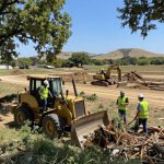 Forestry Mulching in Hillsboro TX vs Traditional Clearing Methods